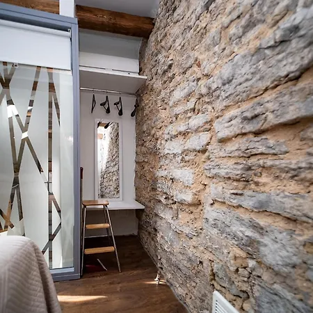 Appartement In A 700-years-old House Tallinn